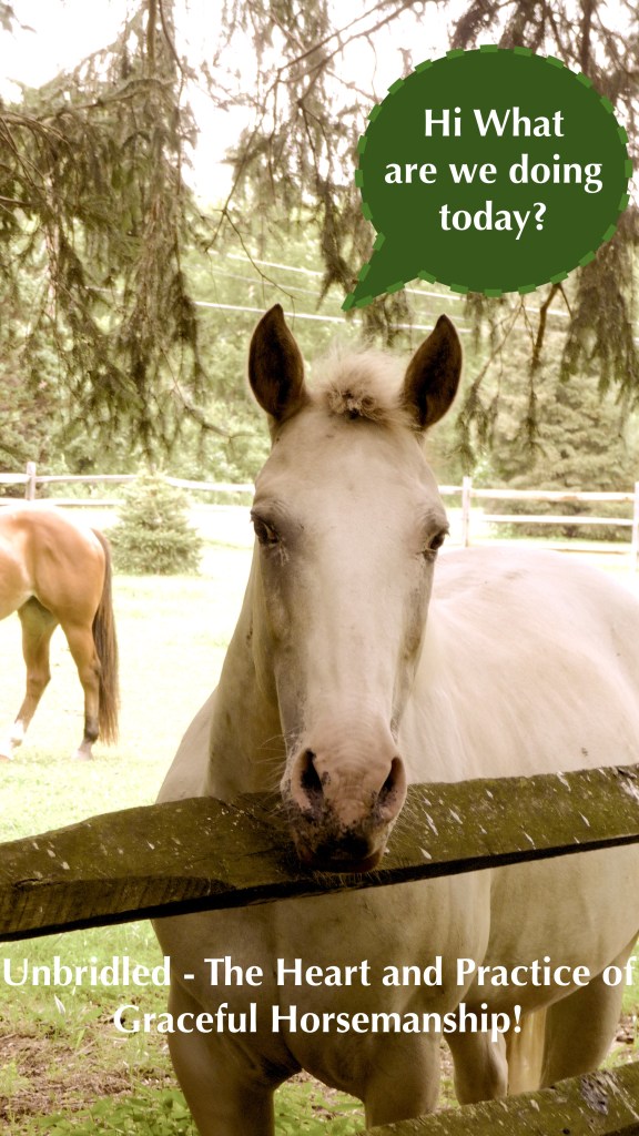 heart-what-are-we-doing