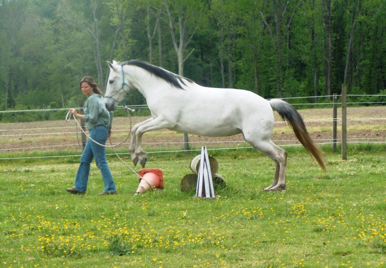 resized jumping jess