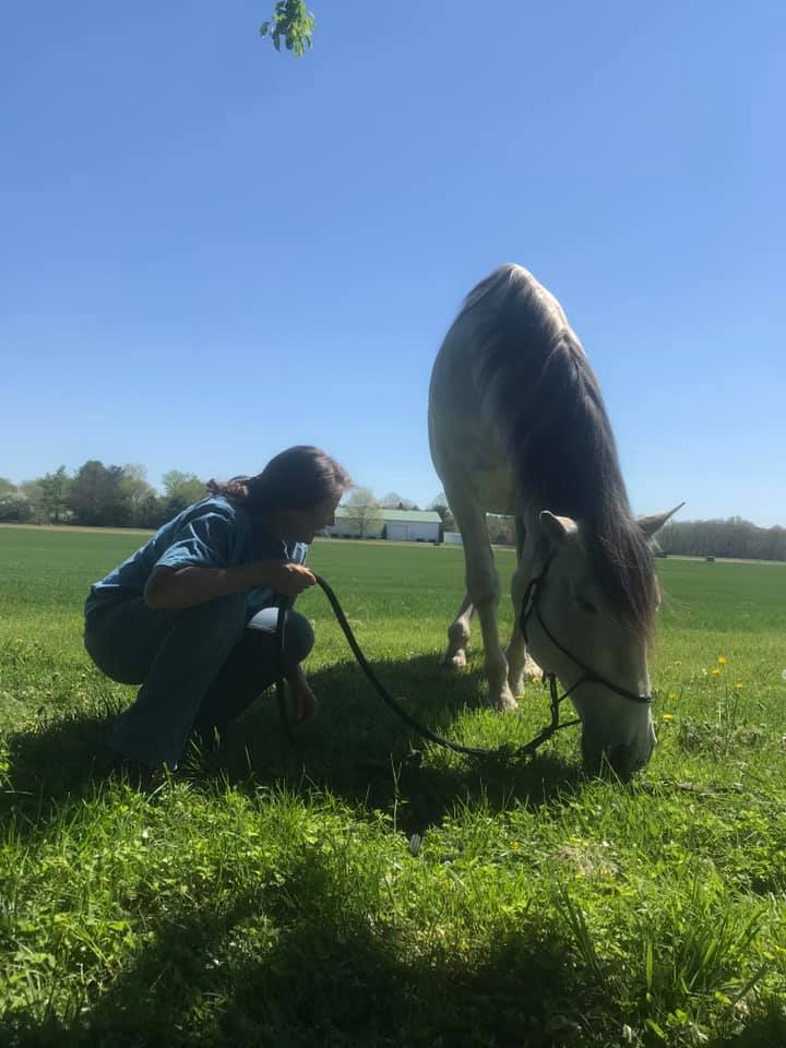 Sterling beginning to lay down